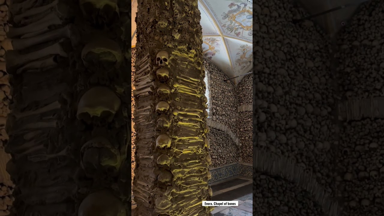 YouTube Short thumbnail