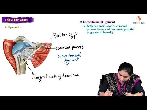 14. Shoulder joint Anatomy : MBBS Lecture