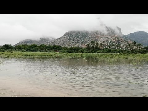 Nature in gorlamudiveedu village