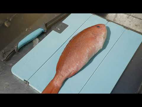 Toadfish Stowaway Folding Cutting Boards