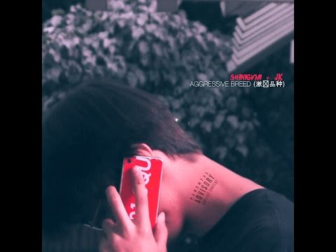 SHINIGVMI + JK - AGGRESSIVE BREED (激进品种)