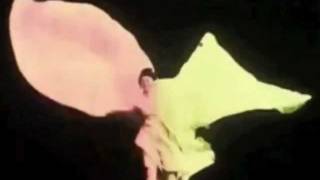 Caballo místico - Silvio Rodríguez