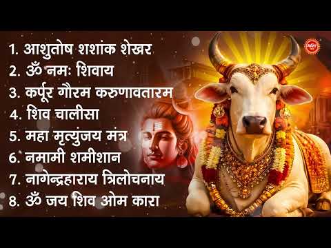 शिव भक्ति भजन : आशुतोष शशाँक शेखर, नमामि शमीशान, ॐ नमः शिवाय, कर्पूर गौरम करुणावतारं, शिव अमृतवाणी