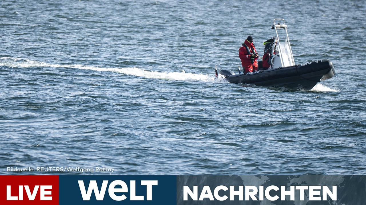 WAL-RETTUNG: Letzter Rettungsversuch! Hat der Wal vor Wismar noch Kraft? I WELT LIVE