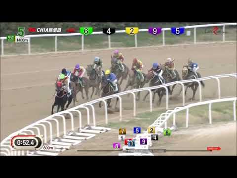 CHIA Trophy 2019 - Pro Consul