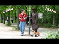 First Push And Then Save The Statue Statue Prank