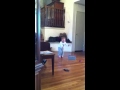 Jack Goes Yo Gabba Gabba