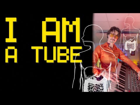 The Human Experience