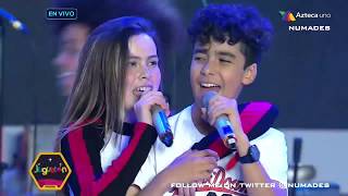 lemongrass / pierdo la cabeza / jugueton 2018