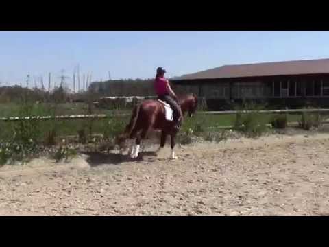 Viva Westfalia Training April 2015