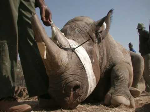 Namibia's travelling Destination