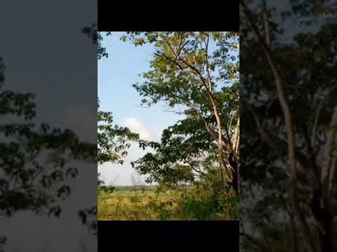 A visit to Kailahun district (Kortuma village)