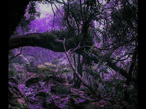 Gato da bato x Booba-Roulé Fort Slow