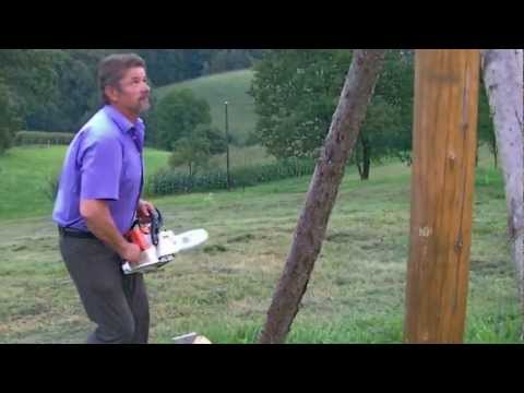 maibaum umschneiden bei stefan rauch 04 08 2012