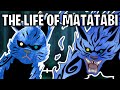 The Life Of Matatabi: The Two-Tails (Naruto)
