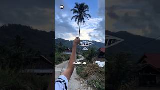 Download lagu How can this kite fly without wind? mp3