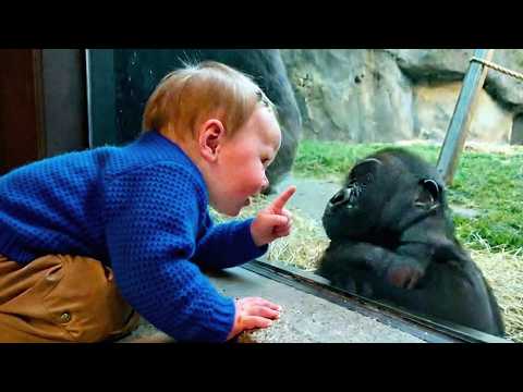 When Your Baby Instantly Finds Best Friends in Animals ❤️