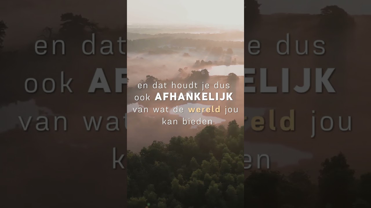 Mistig landschap met bomen en water bij zonsopkomst, met Nederlandse tekst: ‘en daar horen ook persoonlijke successen bij..’, waarbij het woord ‘successen’ geel gemarkeerd is – verdieping in de relatie en verbindingen