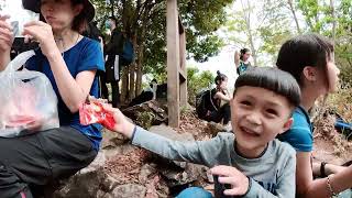 松鶴部落上谷關唐麻丹山