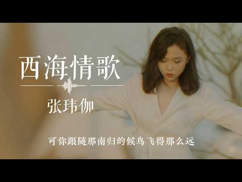 张玮伽《西海情歌》动态歌词视频〖Vega《Love Song of the West Sea》Dynamic lyrics lyrics〗