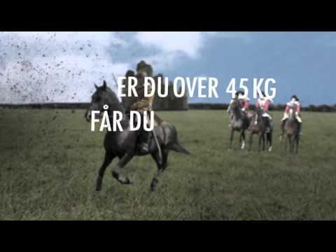 Cavaliers 2016 -  Solguden & Mannen