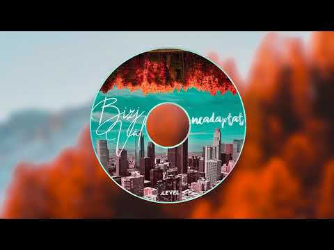 Bizi & VAL - Neadaptat