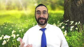 לך לך - בניין אישיות
