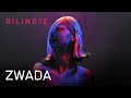 Zwada - Take It