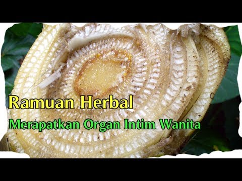Potensi lemah obat Bagaimana membuat tingtur vodka dan jahe untuk potensi