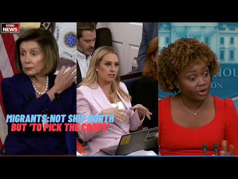 Pelosi: not ship immigrants to north but 'to pick the crops' in Florida; WH: not cast blame oil comp