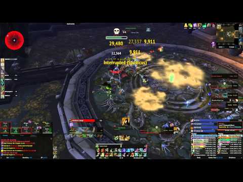 Council of Elders 10 Heroic - BM Hunter PoV