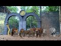 7 MANUSIA HARIMAU Bersatu Melawan Para Siluman