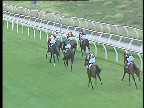 Galoppo 25/05/2017 - 6ª corsa