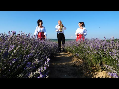 Surorile Chiș - Flori Flori 2021