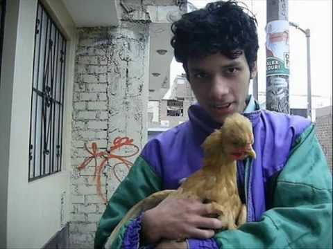 Estilo Libre (FreeStyle) - Paria, Arce, CaneRec, Edu.