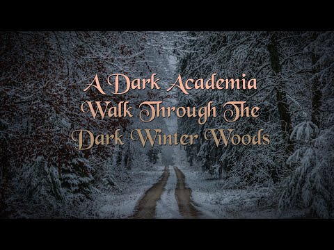 A Dark Academia Walk Through the Dark Winter Woods