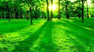 Beck - Cycle + Phase 24 Minutes In Loop