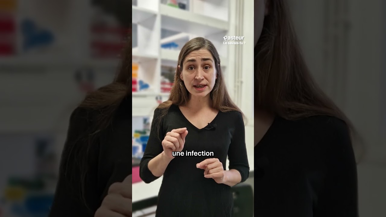 Tes racines immunitaires