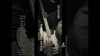 Red Hot Chili Peppers - Porcelain -   #redhotchilipeppers  #ベース弾いてみた