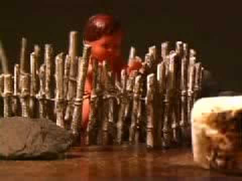 The Foxymorons - Left Sideways