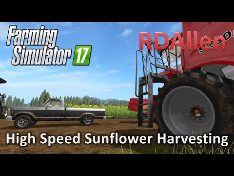 High Speed Sunflower Harvesting Case 9230 -  Farming Simulator 17 Gold Crest Valley