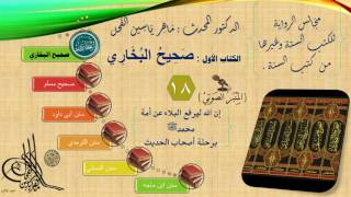 صورة 18 - مجالس الرواية || صحيح البخاري : رقم الحديث من 1501 إلى 1570 || د.ماهر الفحل