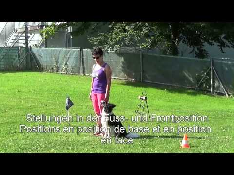 Schweiz NPO 15 SanH 1 C Unterordnung