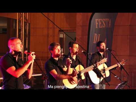 Sognu - Fiure di Palestina (Vitalba)