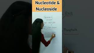 Difference between Nucleotide and Nucleoside | #apnasapnajrf