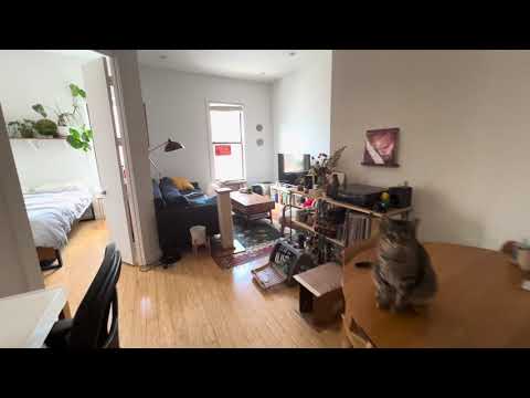 video 1