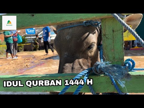 Idul Qurban 1444 H
