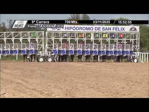 CARRERAS HIPÓDROMO SAN FELIX PAYSANDÚ 23/11/25 | EN VIVO | URUGUAY