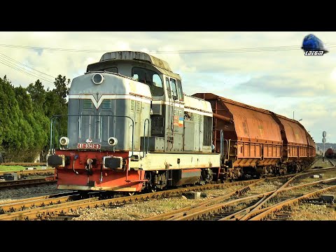 LDH1250 81-0342-6 la Manevră/Shunting in Gara Episcopia Bihor Station  - 30 October 2020