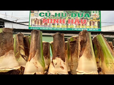 Thu mua củ hủ dừa tại Cơ Sở Minh Hậu 0355328757- 0987639100